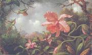 Orchids and Hummingbirds Martin Johnson Heade